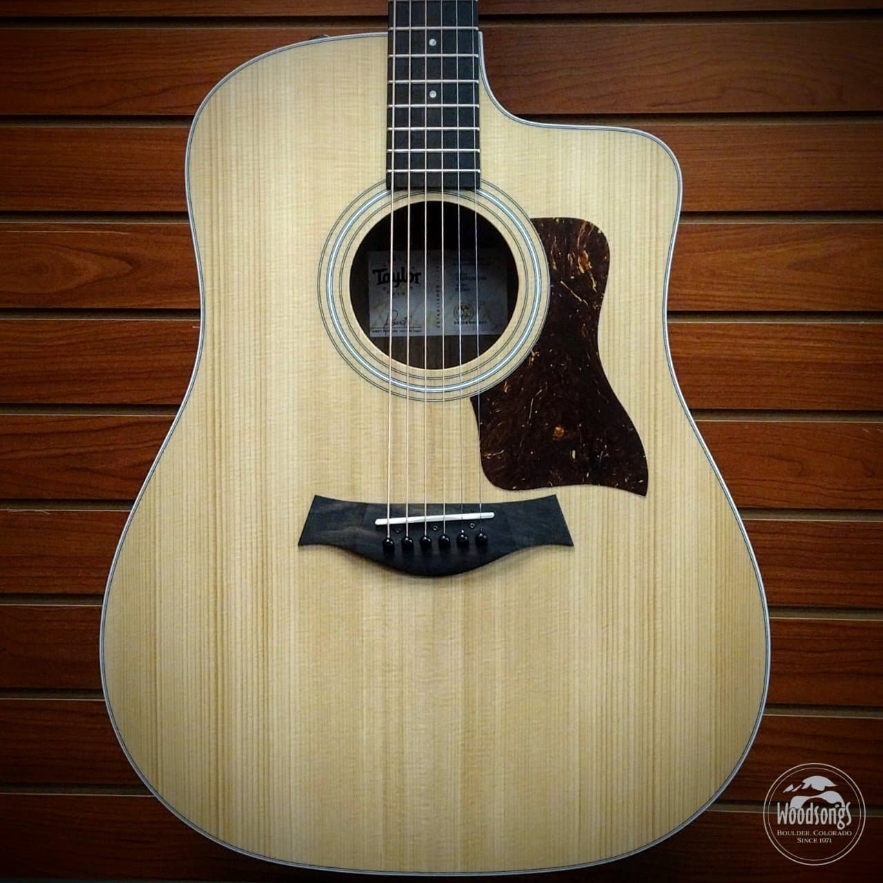 Taylor 210ce