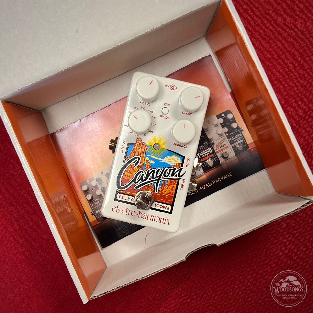 Canyon Delay and Looper EHX Pedals
