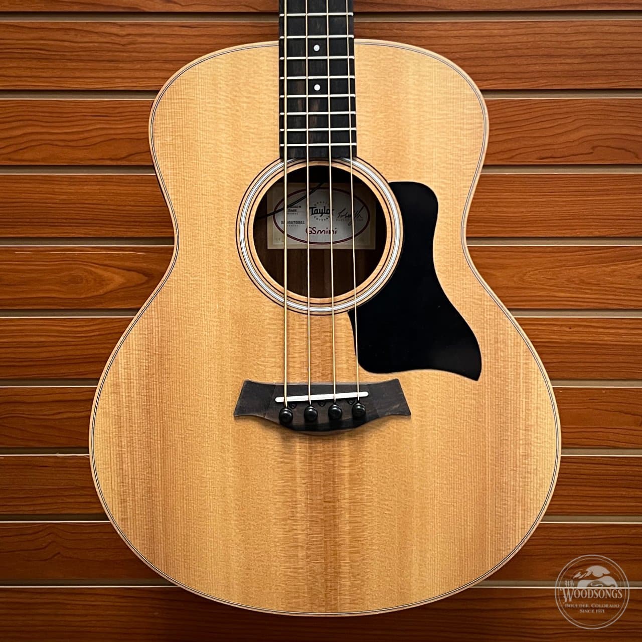 Taylor GS Mini-e Bass
