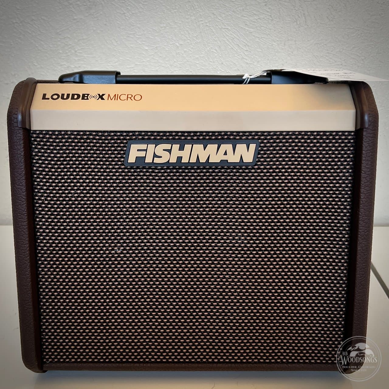 Fishman Loudbox Micro