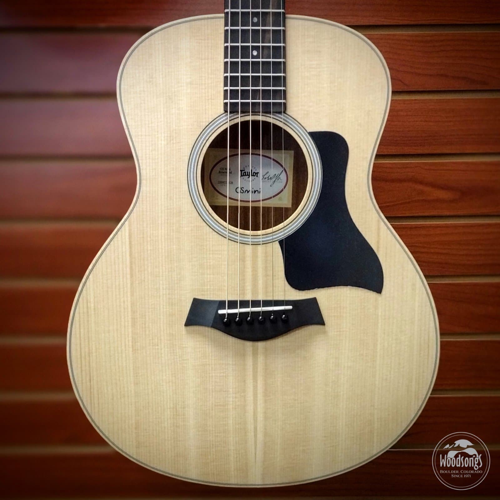 Taylor GS Mini Sapele