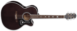 Takamine GN75CE TBK Transparent Black 6-String Acoustic Electric Guitar