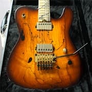 DEAN USA Custom Shop Nash Vegas Floyd Spalted Maple Top 6-String Electric Guitar