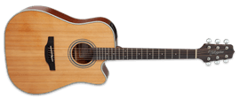 Takamine GD20CE Natural 6-String Acoustic Electric Guitar