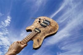 Peavey HP2 Poplar Burl RM Natural 6-String Electric Guitar