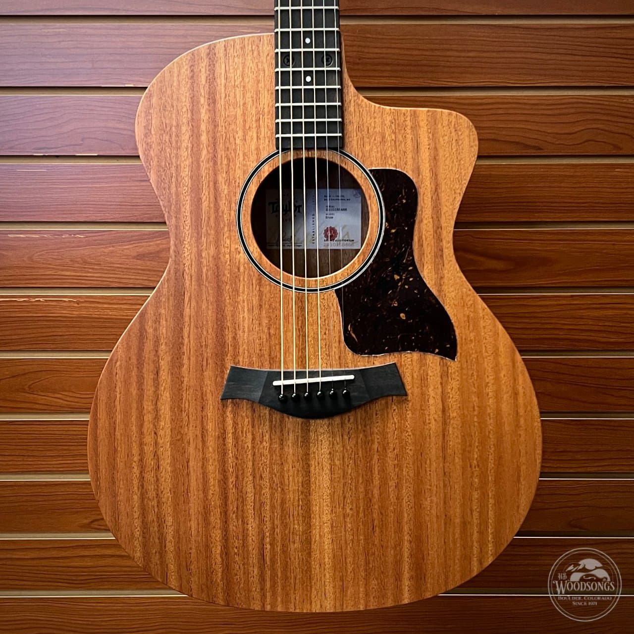 Taylor 24ce