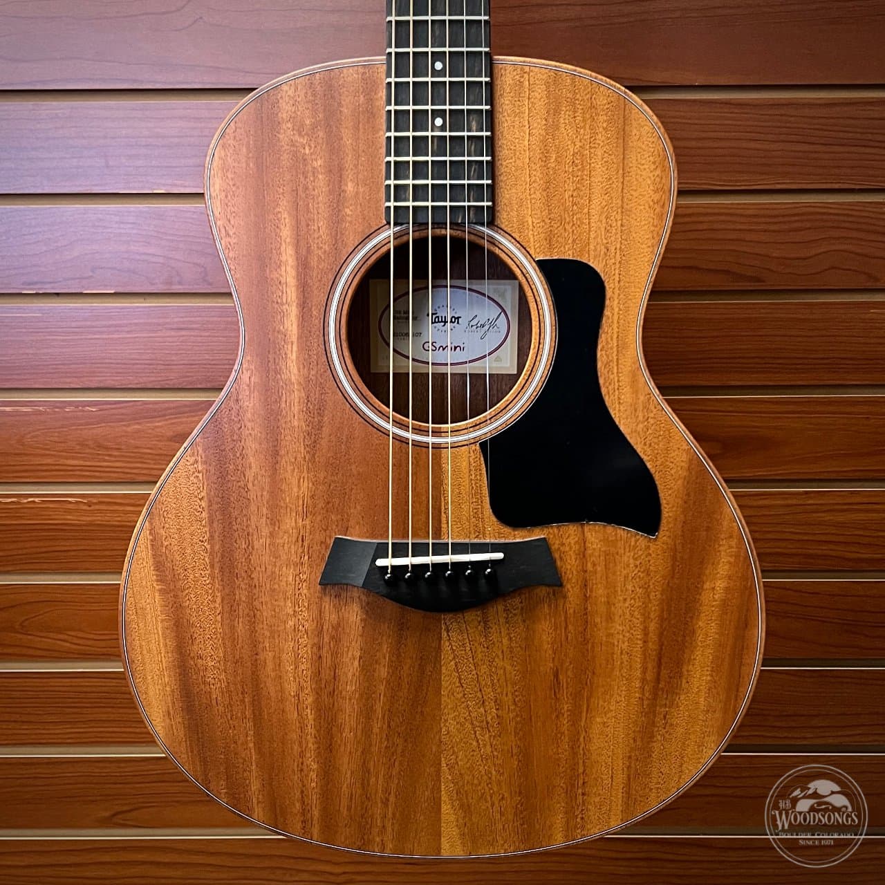 Taylor GS Mini (Mahogany Top)