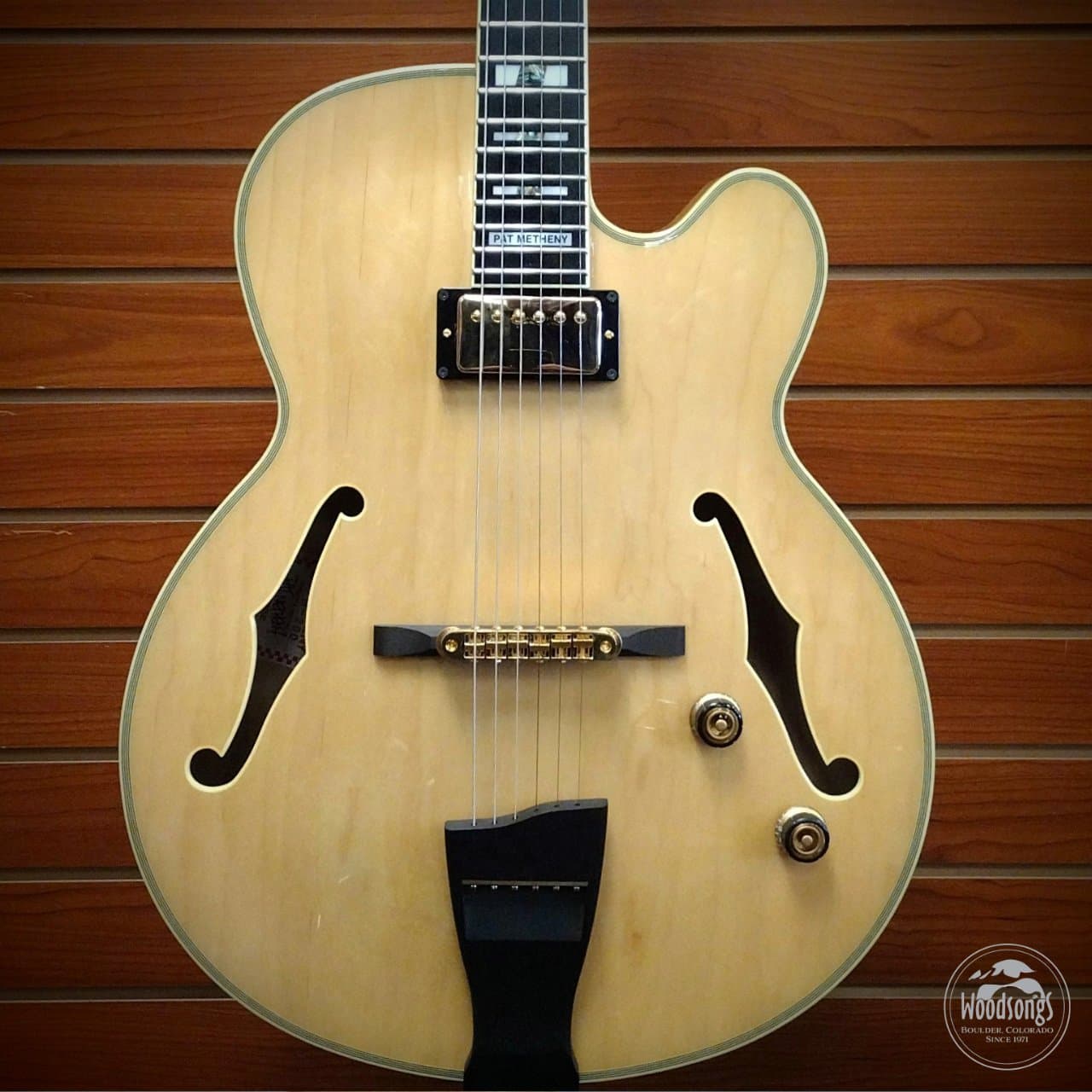 USED Ibanez Pat Metheny PM-200 (2023)