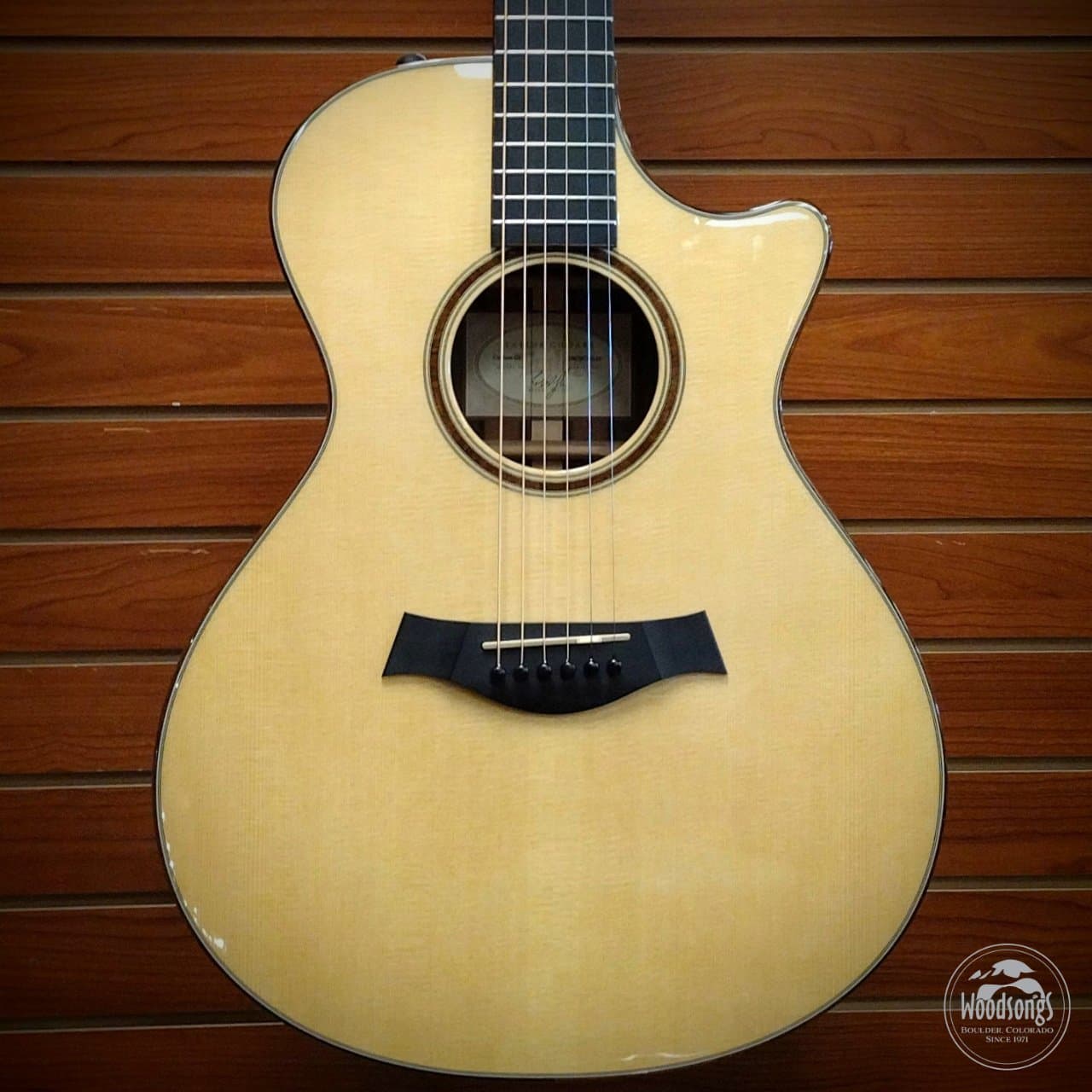 USED Taylor Custom GC (2007)
