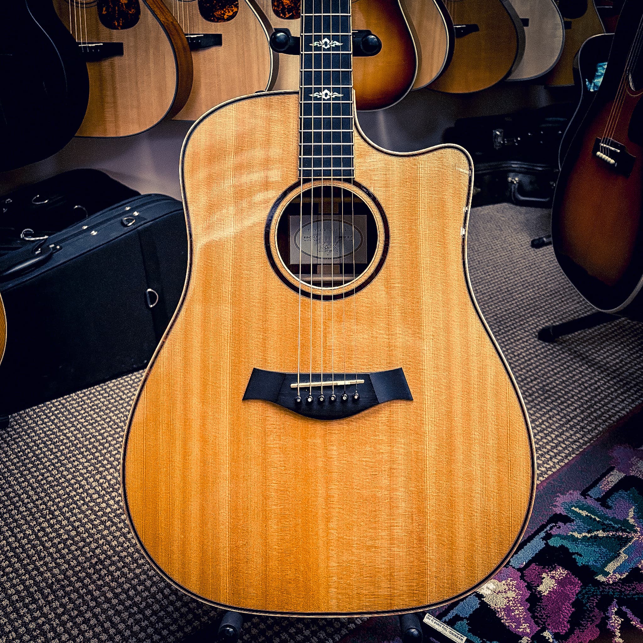 2004 Taylor 810CE-L7