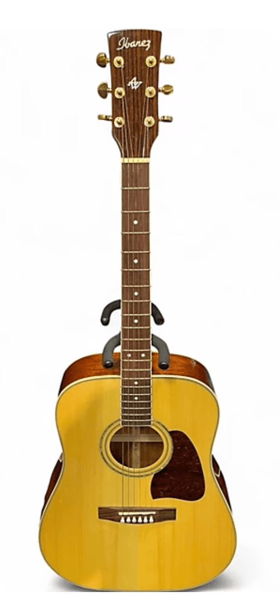 Ibanez Aw100 Lefty