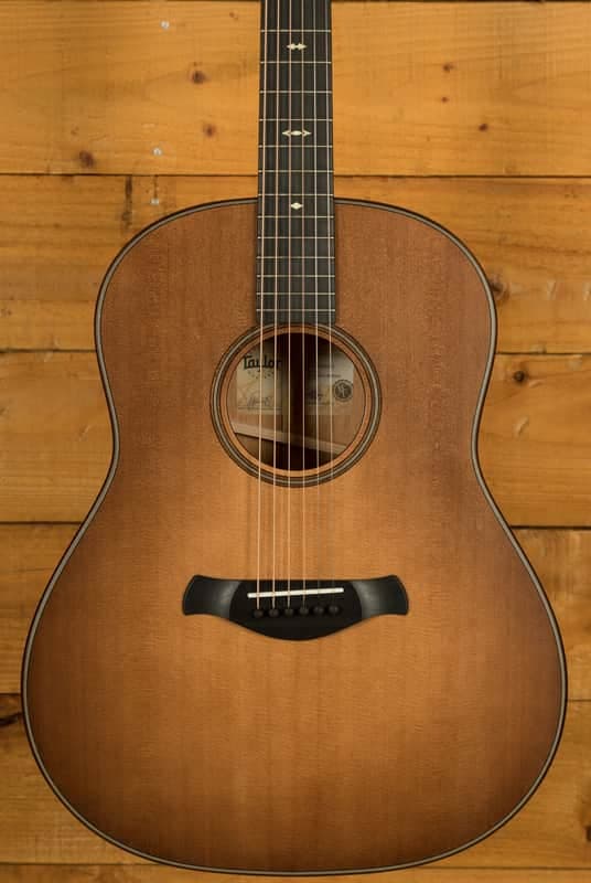 Taylor 500 Series | Builder's Edition 517 - Wild Honey Burst