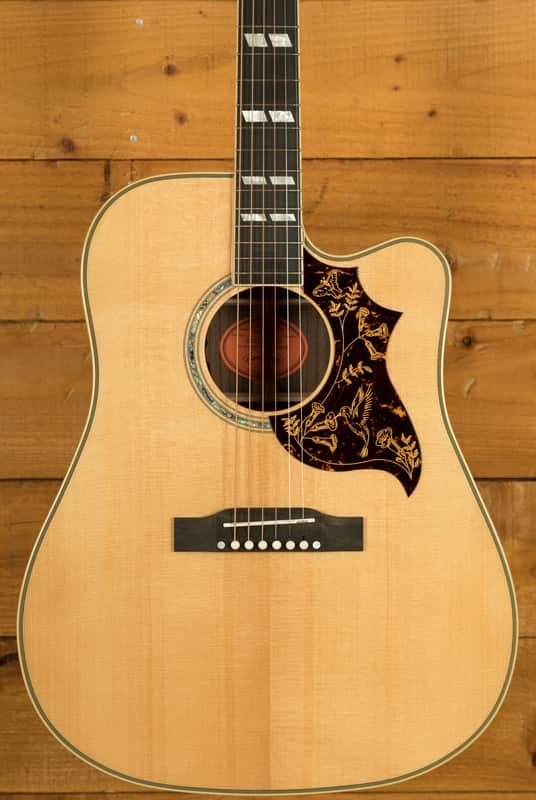 Epiphone IGC Hummingbird Deluxe EC w/LR Baggs VTC Bronze - Ebony - Natural