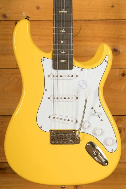 PRS SE Signature | SE John Mayer Silver Sky Rosewood - Dandy Lion