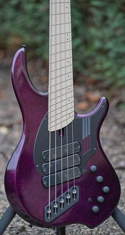 Dingwall NG3 Adam Nolly Getgood Signature 5 String - Midnight Purple Flake(2)