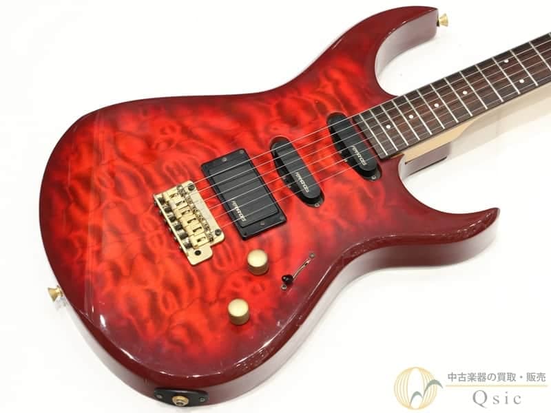 Fernandes Fgz 420