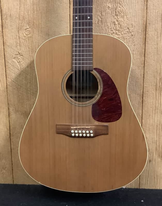 Seagull Coastline 12 String