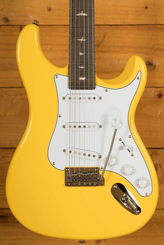 PRS SE Signature | SE John Mayer Silver Sky Rosewood - Dandy Lion