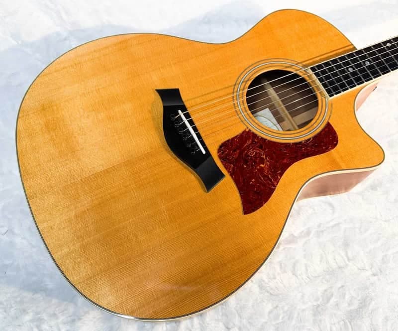 Taylor 414ce - 5.0 lbs.