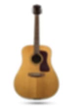 New Guild D-50 Standard