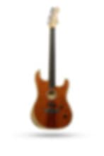 New Fender Limited Edition Acoustasonic Stratocaster Exotic Wood Ziricote