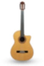 New Guild GAD-N4NA Nylon