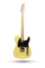 New 2018 Fender American Special Telecaster Butterscotch