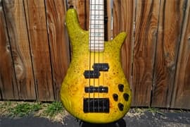 Spector USA NS-2 Maple Burl Super Bloom 4-String Electric Bass Guitar