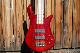 Spector Euro 5 LX Maple Fingerboard – Black Cherry Gloss 5-String Electric Bass Guitar