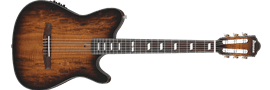 IBANEZ FRH20SMN TCL Tobacco Burst Low Gloss 6-String Classical Electric Guitar