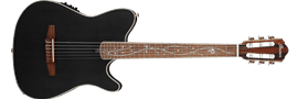 IBANEZ Signature TOD10N Transparent Black Flat 6-String Classical Electric Guitar
