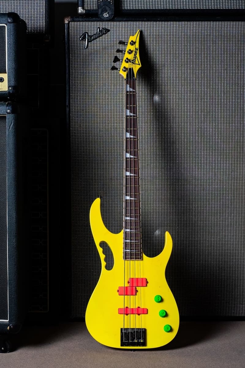Ibanez Jem Bass - Dusty Hill Collection